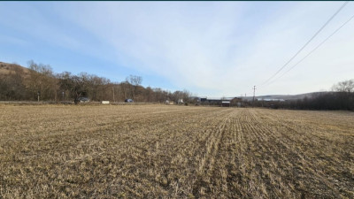 Teren extravilan, 380 mp, 75 m pana la drumul asfaltat, Vlaha