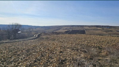 Teren extravilan, 5800 mp, Valea Fanatelor